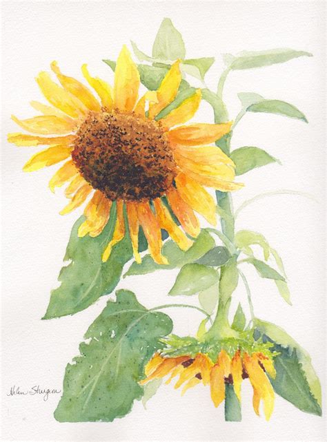 Watercolor sunflower | Flower art painting, Sunflower painting, Watercolor sunflower