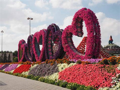 Dubai Miracle Garden, an amazing garden in the middle of the desert • The Petite Wanderess