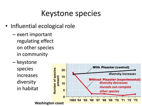 PPT - Keystone species PowerPoint Presentation, free download - ID:2358585