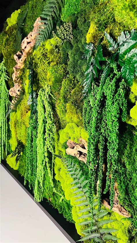 Moss Art Installations – MossArtInstallations