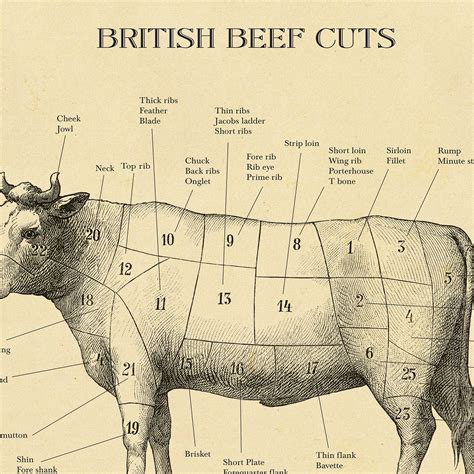 British Butcher cuts chart beef cuts print A4-A2 | Etsy