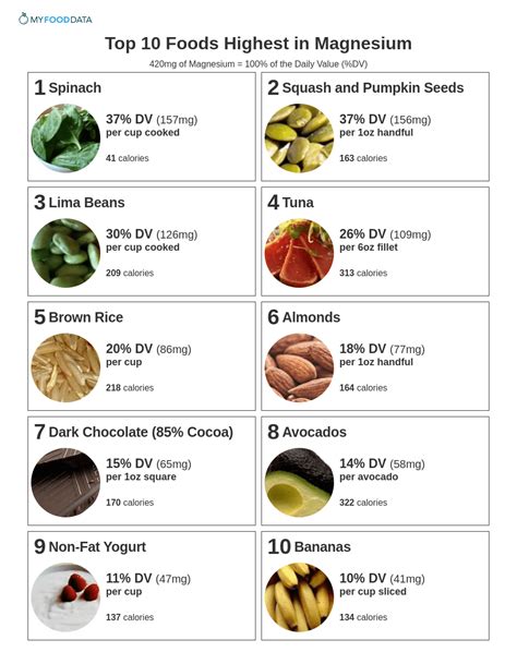 Printable Magnesium Rich Foods Chart