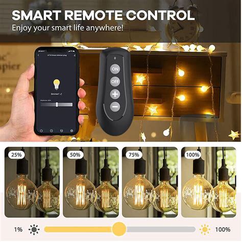 smart plug dimmer with remote controller