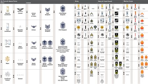 Almanac: Rank Insignia of the Armed Forces | Air & Space Forces Magazine