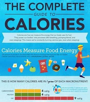 Health Benefits of Eating Meat Infographic