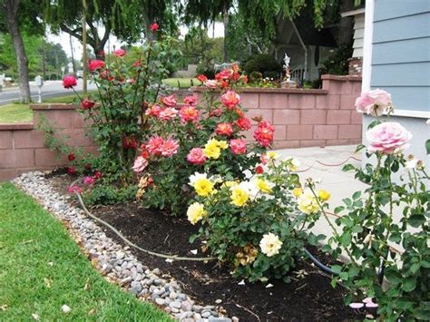 small backyard rose garden ideas - Climax Webcast Photogallery