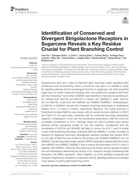 (PDF) Identification of Conserved and Divergent Strigolactone Receptors in Sugarcane Reveals a ...