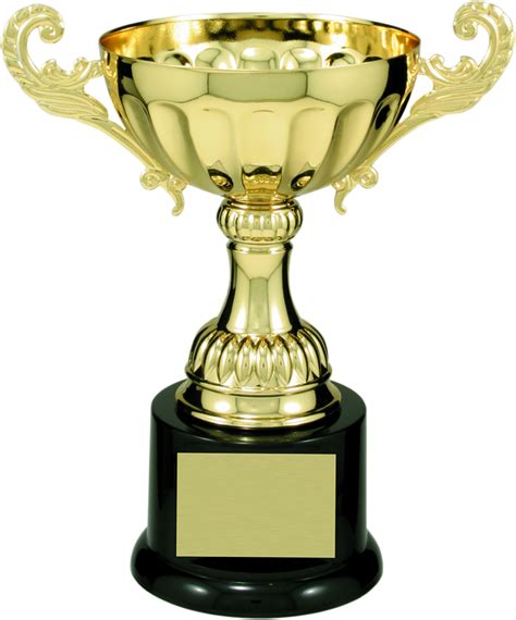 Shop & Personalize "Metal Cup Trophy Award 100 Series" at Dell Awards