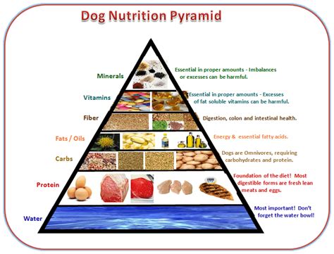 Dog food analysis with diet tips and facts about a dogs health.