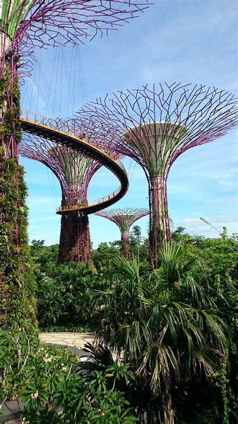 Gardens by the Bay – Super trees Grove & Skyway : Singapore | Visions of Travel