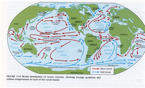 Ocean Circulation — Madeline James Writes