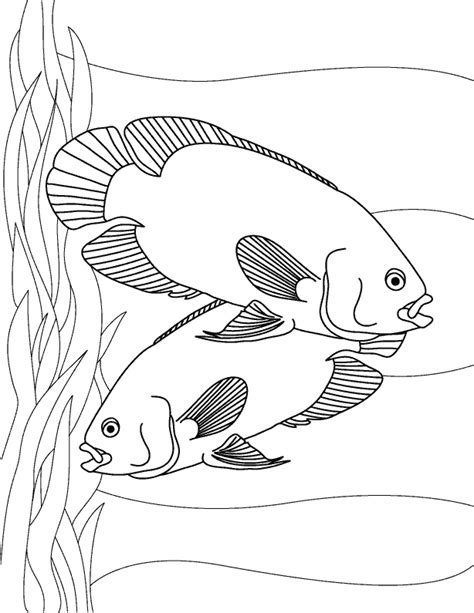 Oscar Fish Pages Coloring Pages