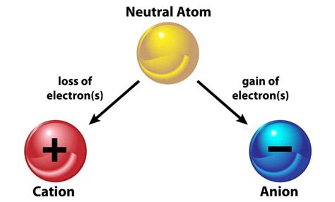 The Anion-Cation Connection in Soil | EcoFarming Daily