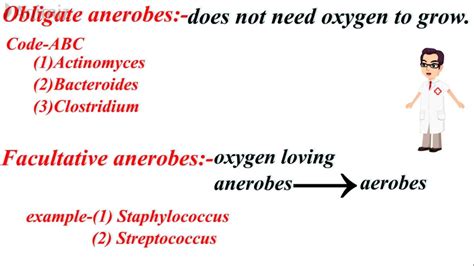 Rightwings Aerobic And Anaerobic Bacteria List