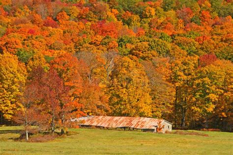 Old Barn and Fall Colors on Hillside Stock Photo - Image of green, trees: 67713372