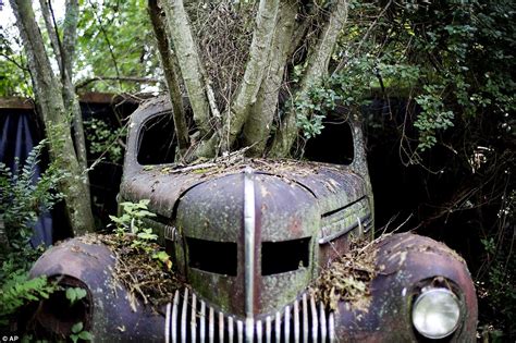 America’s Old Car City, where trees grow through car windows | Daily ...