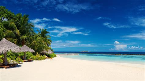 Tropical beach with sunshades - Virtual Backgrounds