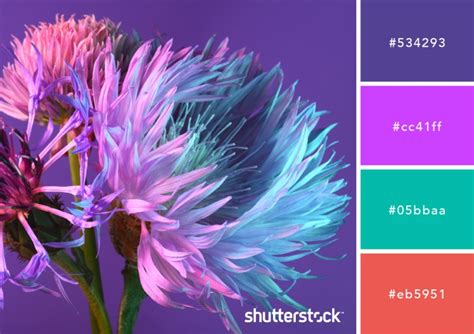 Purple Color Schemes, Design Applications, Meaning, and More