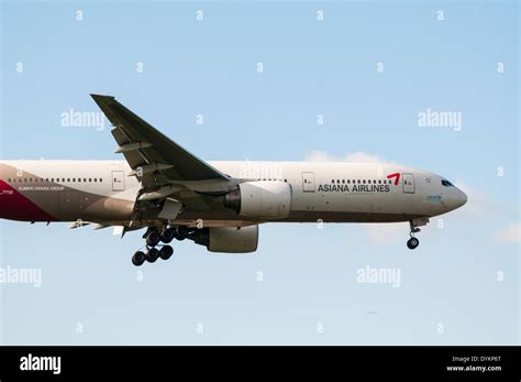 Side view of an Asiana Airlines Boeing 777 plane on approach to land ...