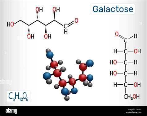 Galactose Structure Diagram