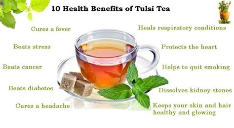 How Holy Basil/Tulsi is Beneficial for Health