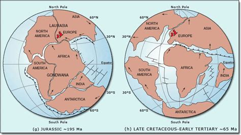 Natural Science: A Learning Portfolio: PANGAEA