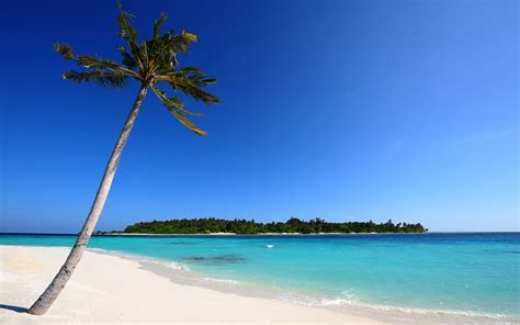 Beautiful Beach Wallpaper - Wallpaper, High Definition, High Quality, Widescreen