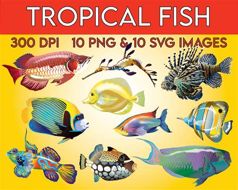 Tropical Fish Clip Art Animal Clip Art Ocean Clip Art - Etsy