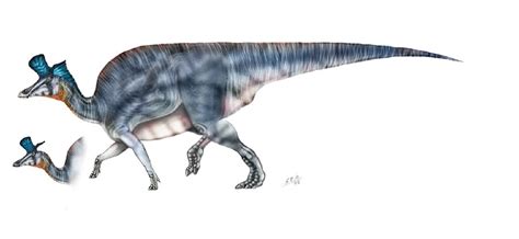 Lambeosaurus Pictures & Facts - The Dinosaur Database