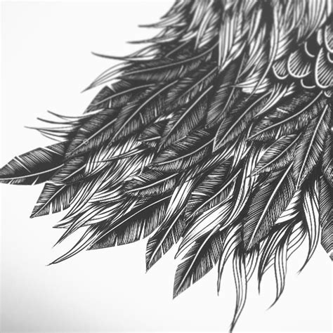 Raven Feather Drawing at PaintingValley.com | Explore collection of Raven Feather Drawing