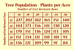 Orchard Tree Spacing Chart: A Visual Reference of Charts | Chart Master