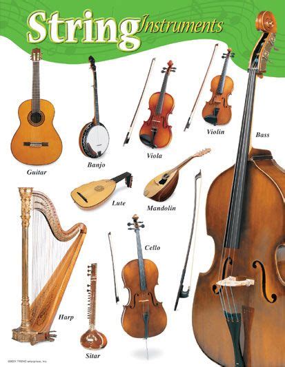 String Instruments Learning Chart (Posters ) | String instruments, Instrument families, Instruments