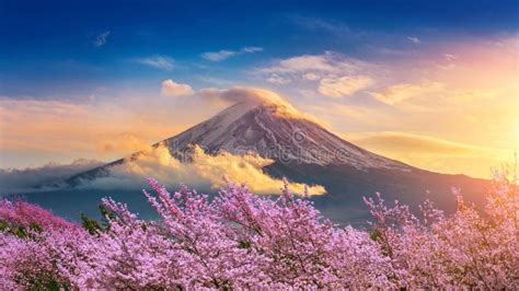 Fuji Mountain and Cherry Blossoms in Spring, Japan Stock Image - Image of panorama, autumn ...