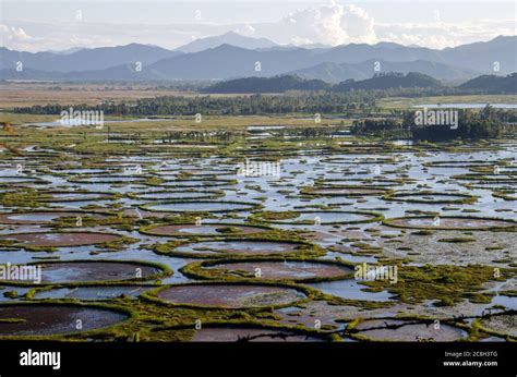 manipur loktak lake Stock Photo - Alamy