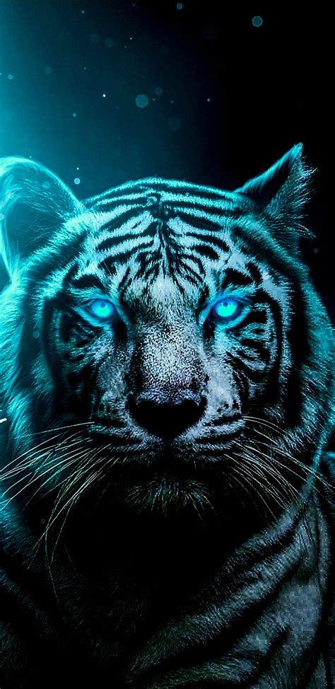 White Bengal Tiger Wallpaper Hd