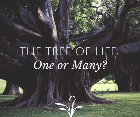 The Tree of Life: One Tree or Many? (Revelation 22:2) – Grace Evangelical Society