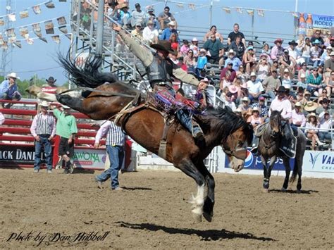 79 best Bronc Riding images on Pinterest | Horses, Rodeo and Rodeo life