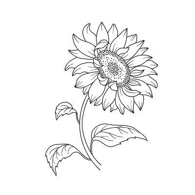 My Grandmas Favorite Flower Was A Sunflower Sunflower Stencil ...