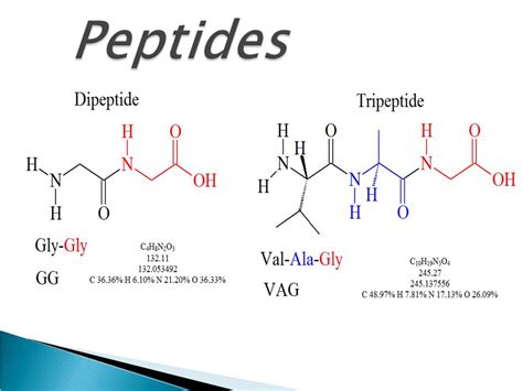 Structure Of A Peptide Bond