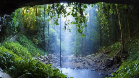 landscapes, Rain, Forest, Drog, Fog, Mist, Trees, Woods, Water, Pool, Sunlight, Filtered ...