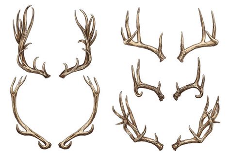 Elk Antlers Outline