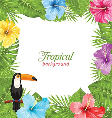 hawaiian border clipart 10 free Cliparts | Download images on ...