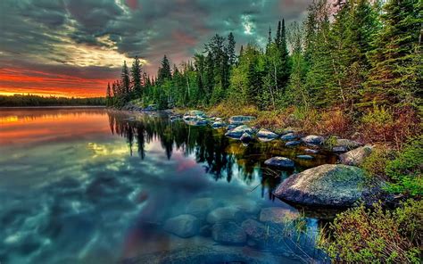 HD wallpaper: Blue Stone Lake, forest beside blue sea during night time ...