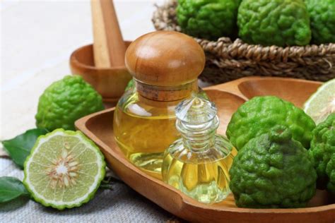 Bergamot Essential Oil: Uses and Benefits – Essential Oil Authority