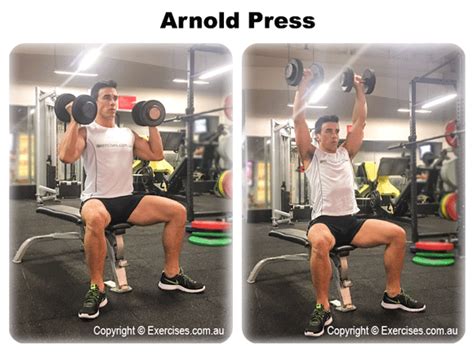 Arnold Press | exercises.com.au