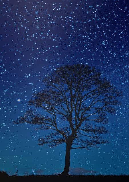 Night Tree Sky Blue · Free image on Pixabay