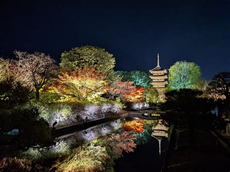 Toji temple during night - November 2022 - Alo Japan