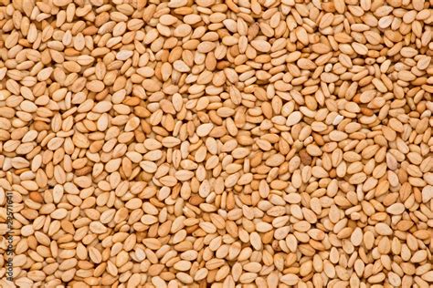 Sesame Seeds (Sesamum indicum) Stock Photo | Adobe Stock