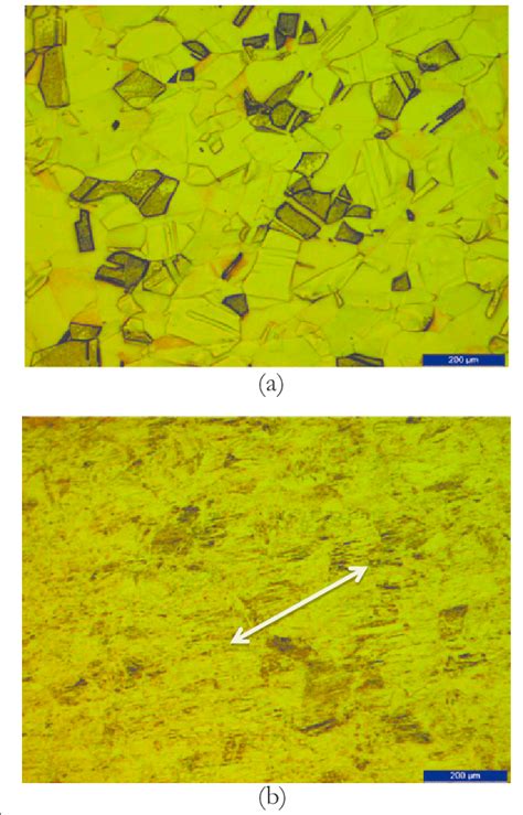 The microstructure of brass specimens. The optical micrographs of brass... | Download Scientific ...