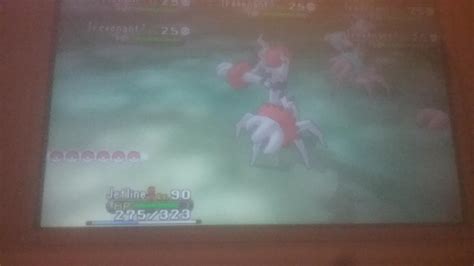 [6] Shiny trevenant after 2 days of hordes! : r/ShinyPokemon